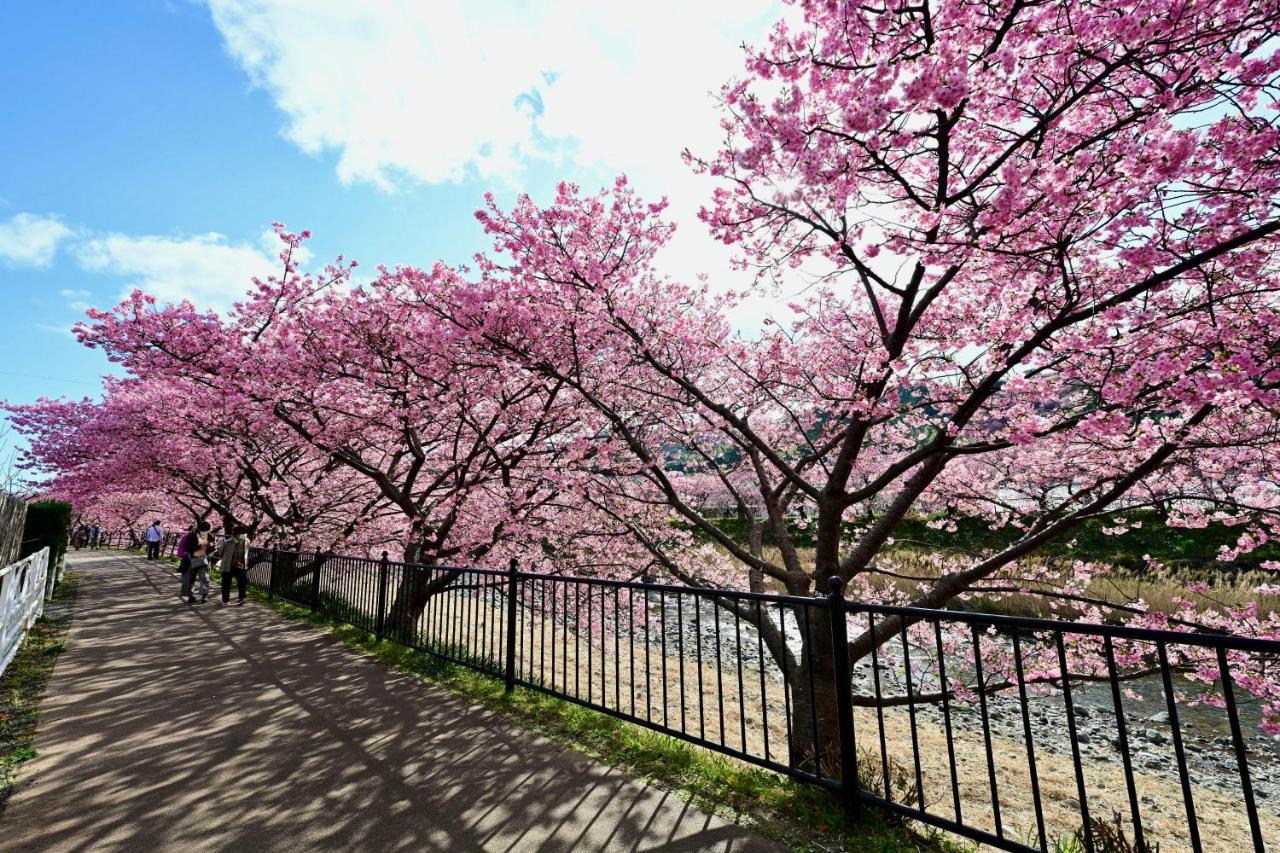 Shobuzawa Log Kawazu Exterior foto