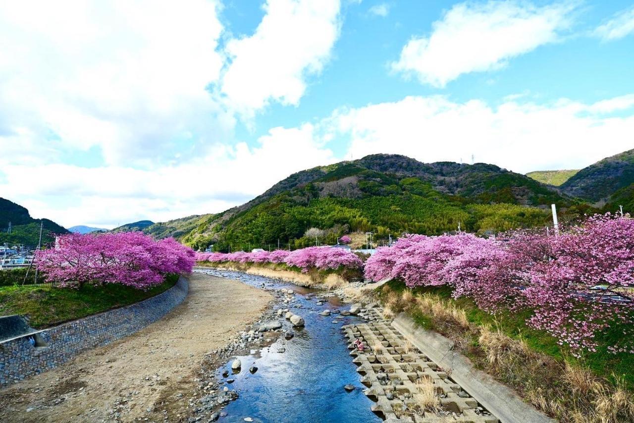 Shobuzawa Log Kawazu Exterior foto