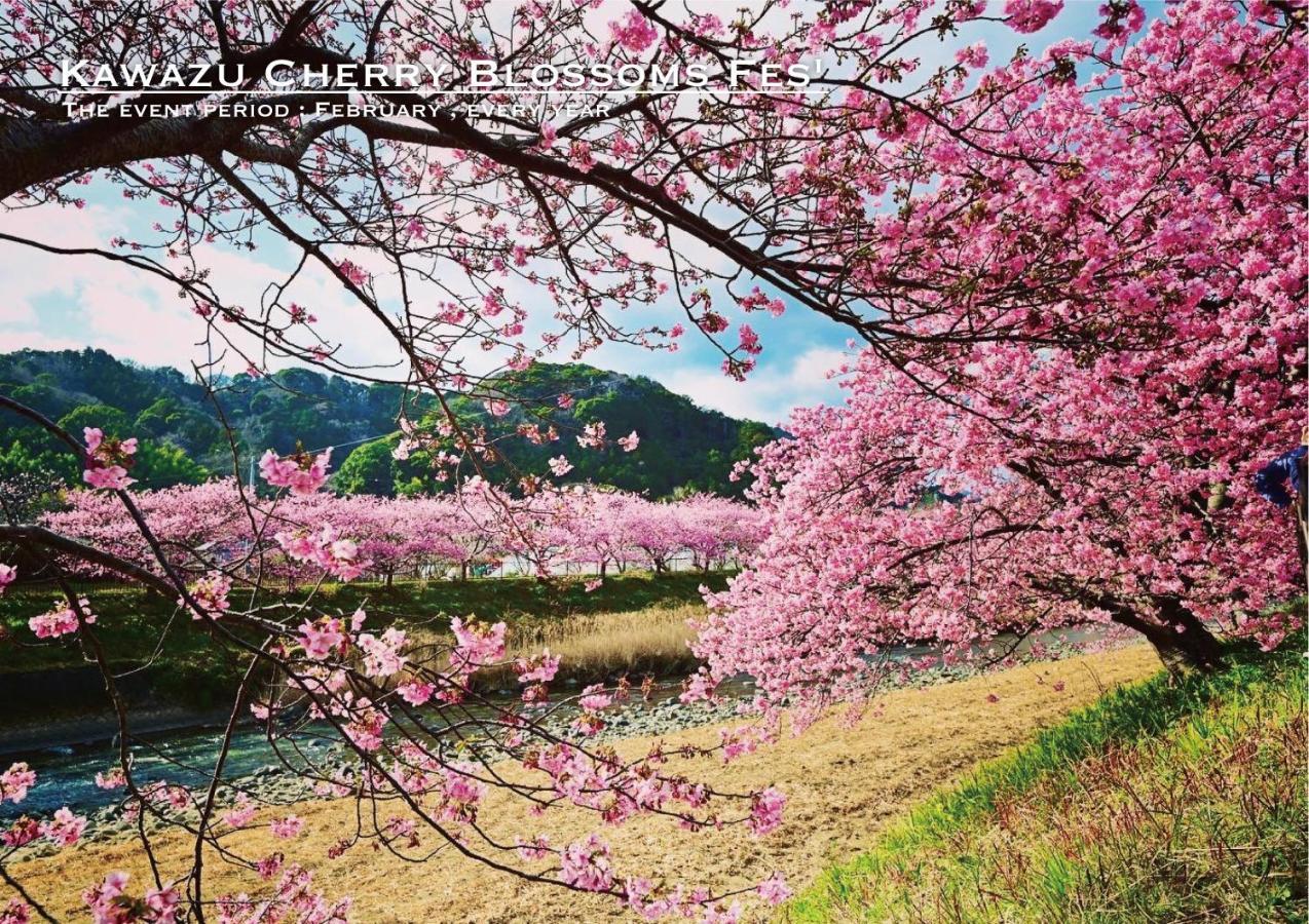 Shobuzawa Log Kawazu Exterior foto